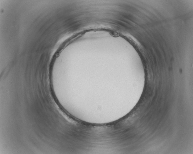 X0000077400894200611172101