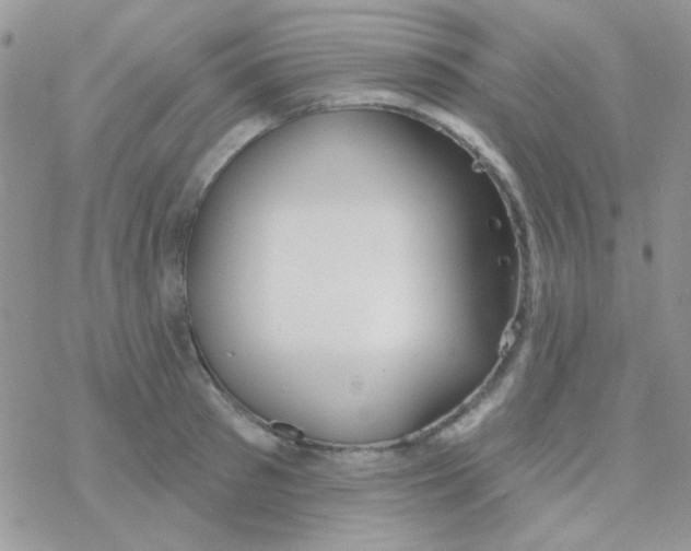 X0000077400897200611172101