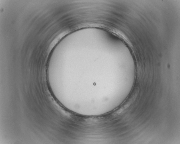 X0000077400898200611172101