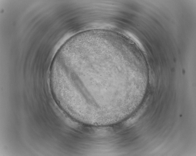 X0000077400899200611172101