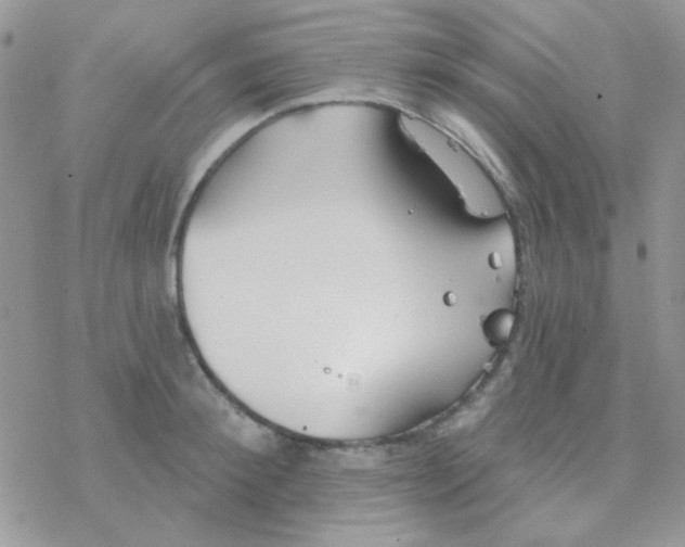 X0000077400900200611172101