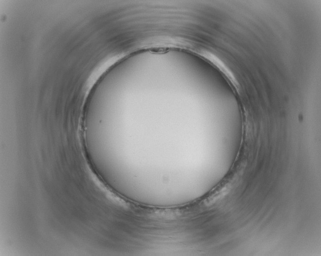 X0000077400901200611172101