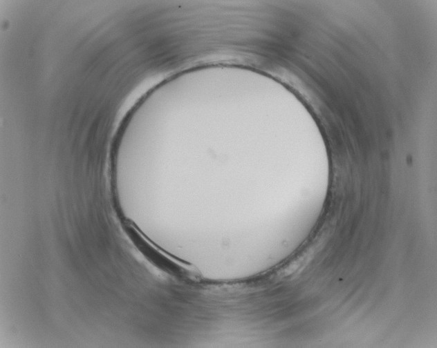 X0000077400902200611172101