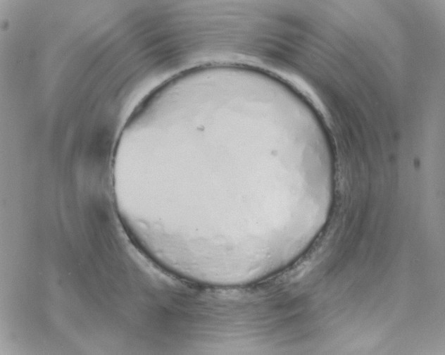 X0000077400903200611172101