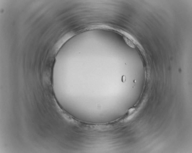 X0000077400905200611172101