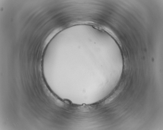 X0000077400906200611172101