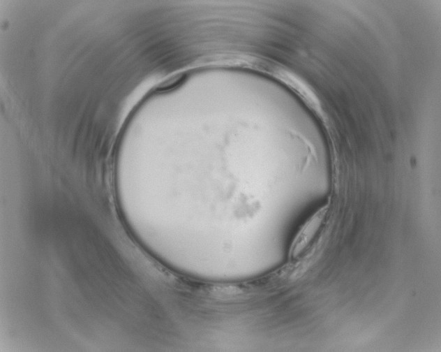 X0000077400907200611172101