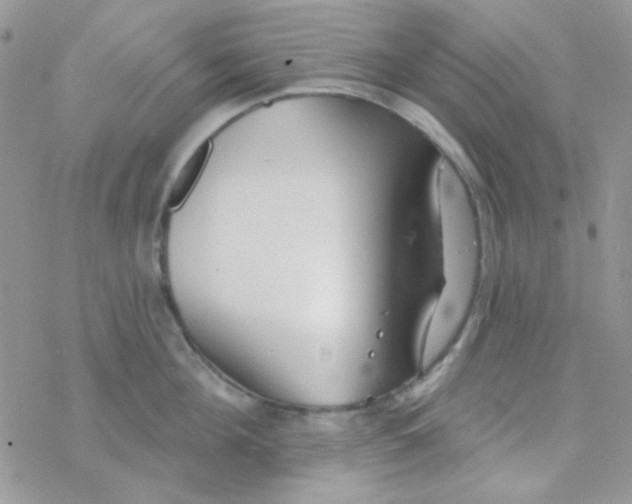 X0000077400908200611172101