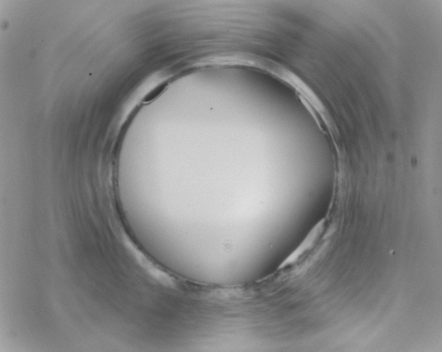 X0000077400909200611172101