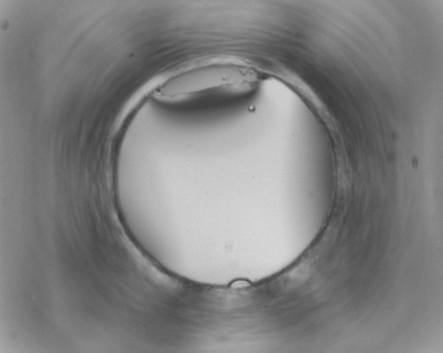 X0000077400910200611172101