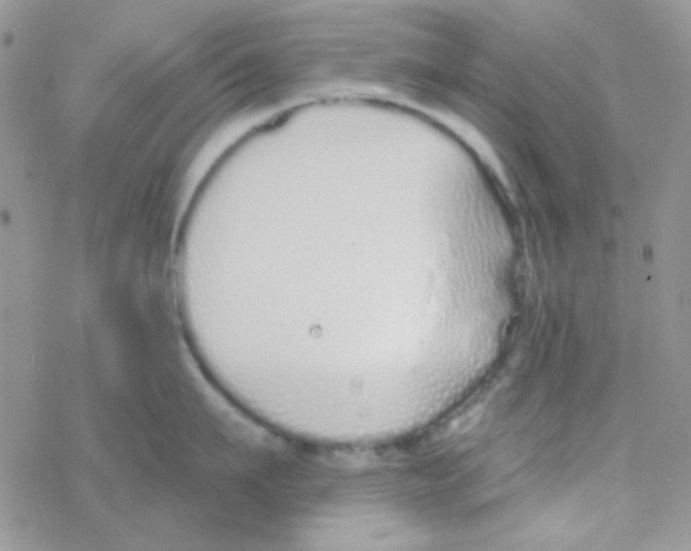 X0000077400911200611172101