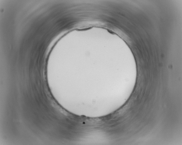 X0000077400912200611172101