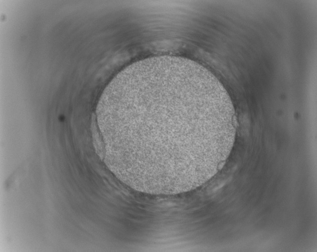 X0000077400913200611172100