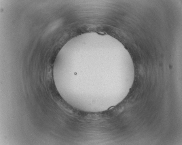 X0000077400914200611172100