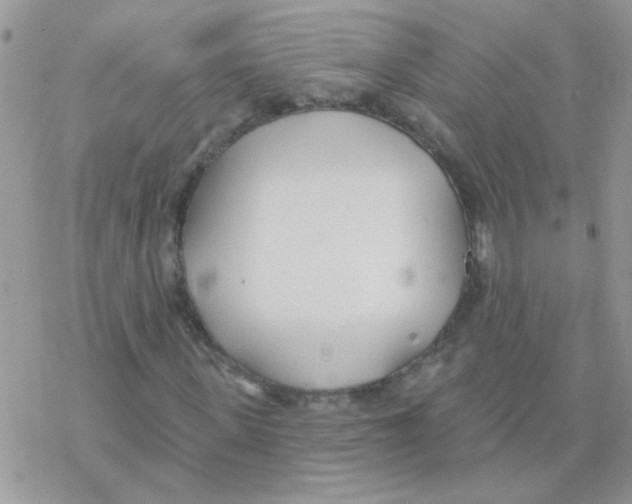 X0000077400915200611172100