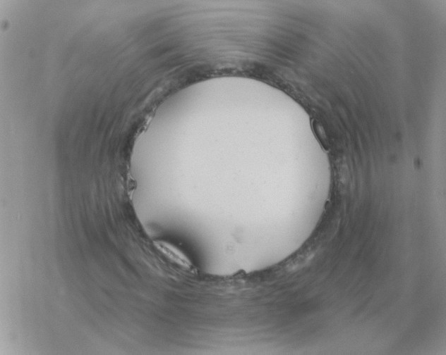 X0000077400916200611172100