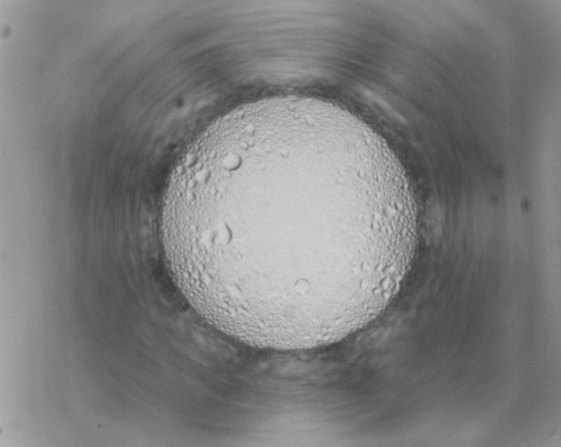 X0000077400917200611172100