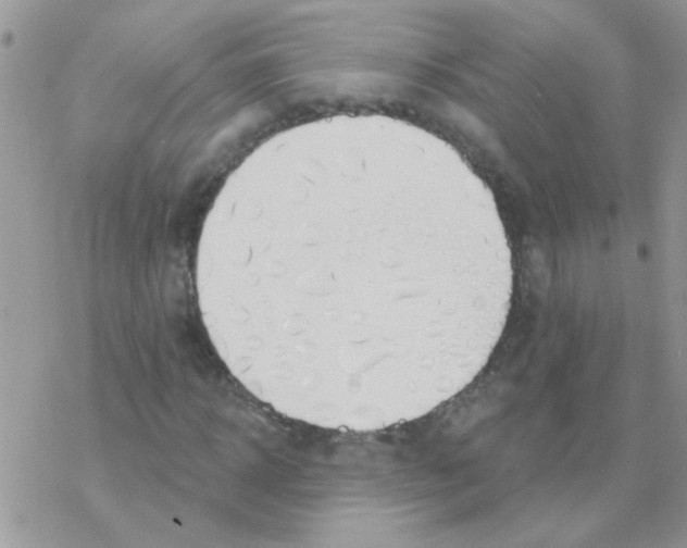 X0000077400918200611172100