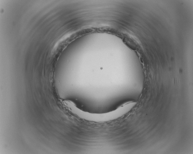 X0000077400920200611172100