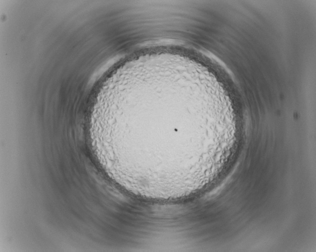 X0000077400921200611172100