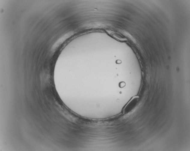 X0000077400922200611172100