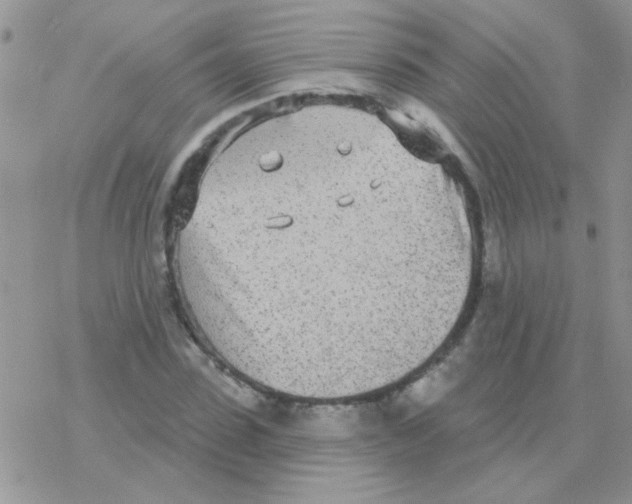 X0000077400923200611172100