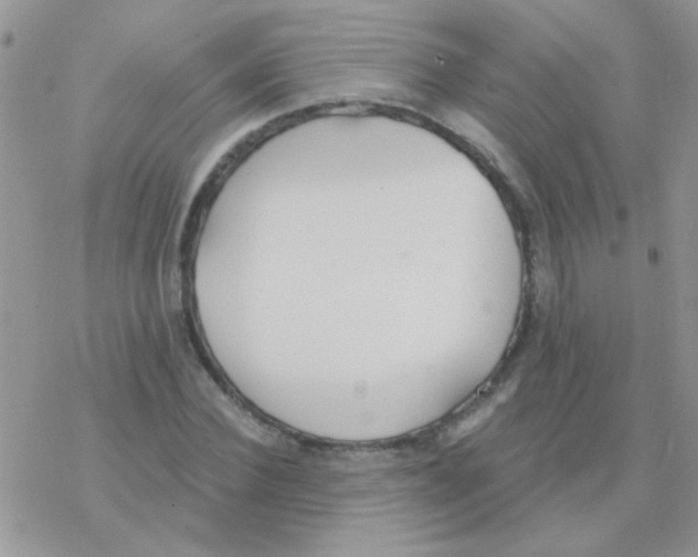 X0000077400924200611172100