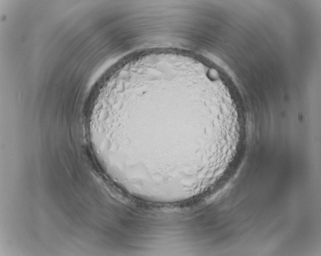 X0000077400925200611172100