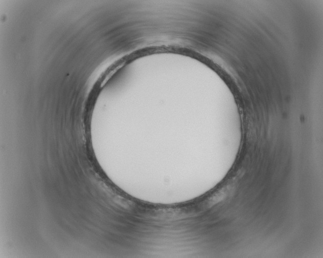 X0000077400927200611172100