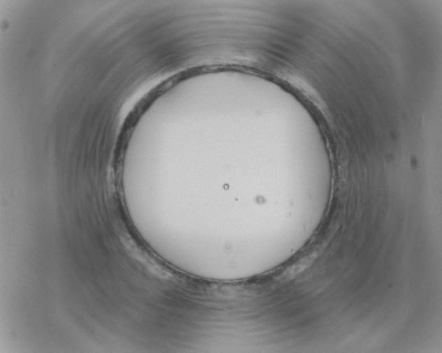 X0000077400928200611172100