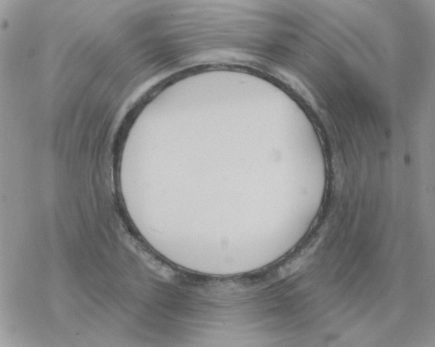 X0000077400931200611172100