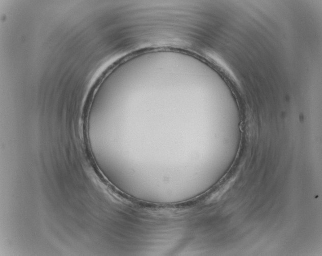 X0000077400932200611172100