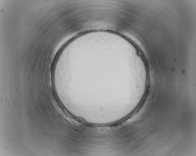 X0000077400933200611172100