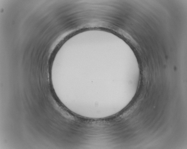 X0000077400934200611172100