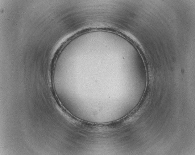 X0000077400935200611172100