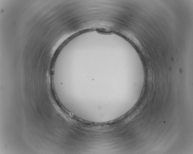 X0000077400936200611172100