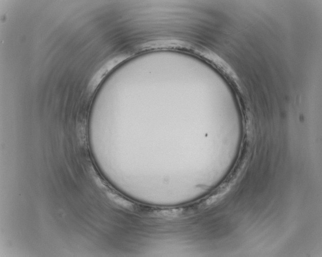 X0000077400937200611172100