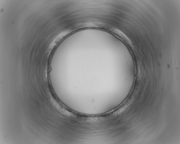 X0000077400938200611172100