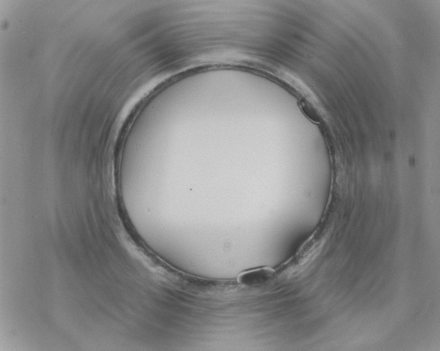 X0000077400939200611172100