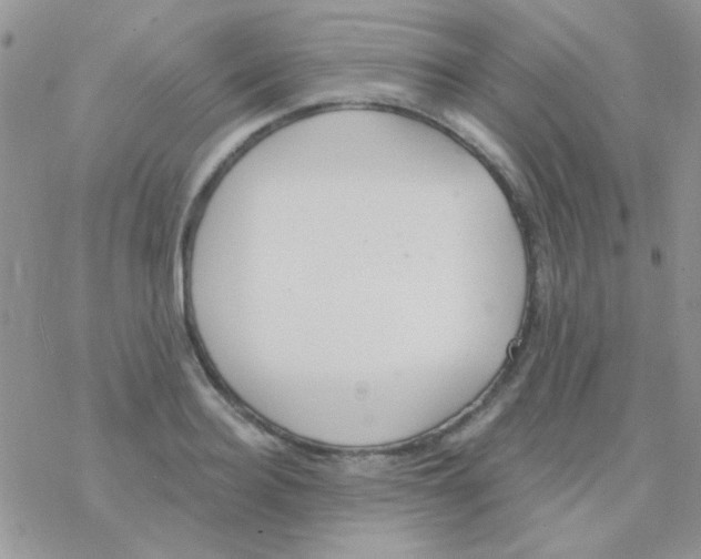 X0000077400940200611172100