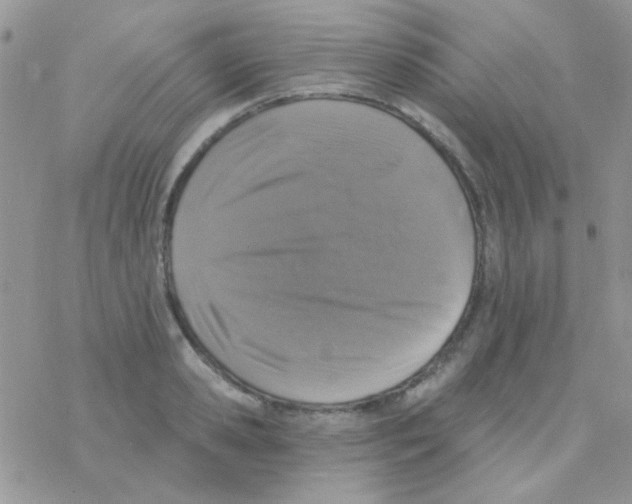 X0000077400941200611172100