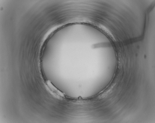 X0000077400942200611172100