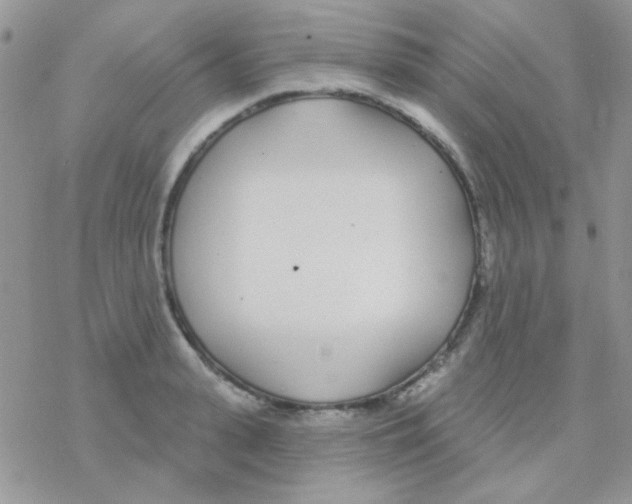 X0000077400943200611172100