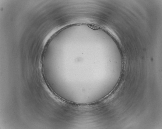 X0000077400944200611172100