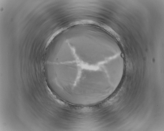 X0000077400945200611172100