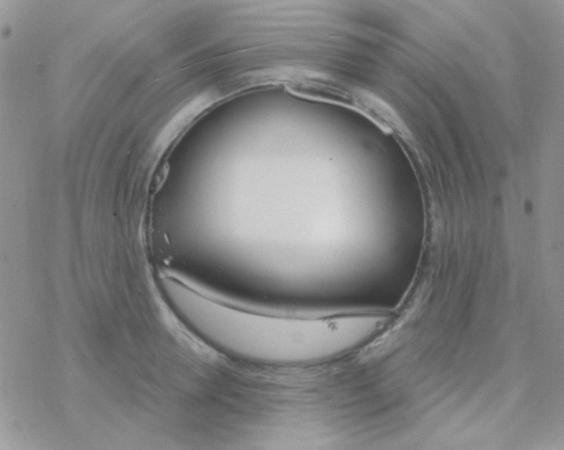 X0000077400946200611172100