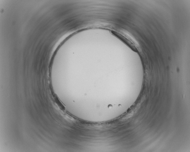 X0000077400948200611172100