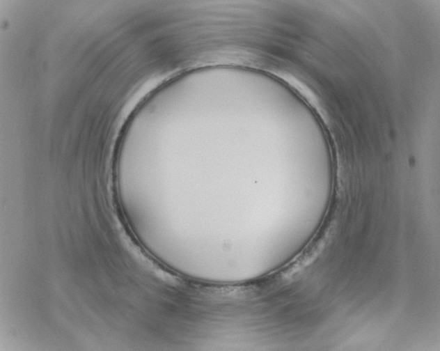 X0000077400949200611172100