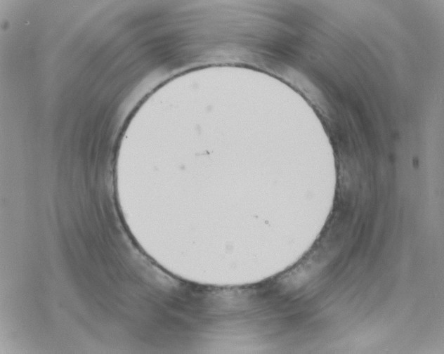 X0000077400950200611172101