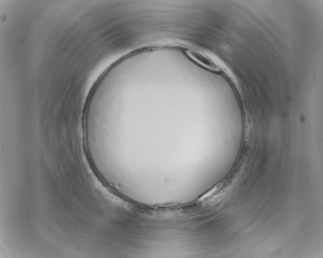 X0000077400951200611172101